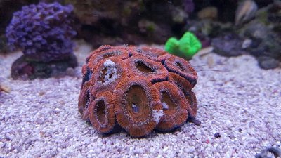 20170420_195715-640x360.jpg