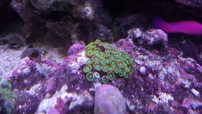 20170420_220621-640x360.jpg