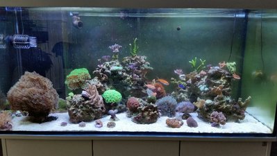 2017-05-07 17.40.48.jpg