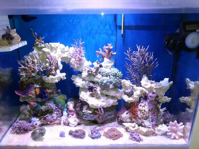 20150915_113812.jpg