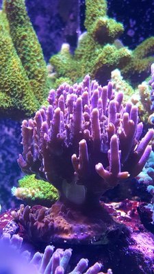 IMG-20170709-WA0002.jpg