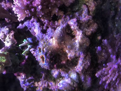 IMG_0547.JPG