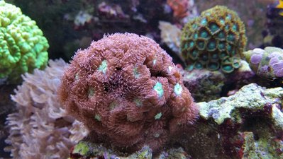 2017-10-01 16.37.51.jpg
