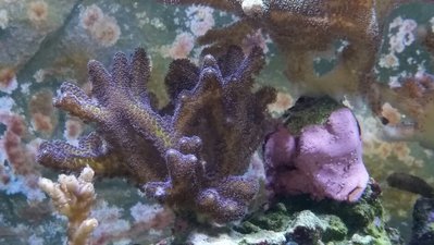 2017-10-01 16.42.03.jpg