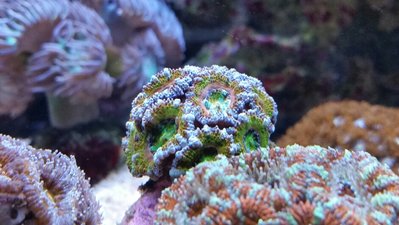 2017-10-01 16.47.59.jpg