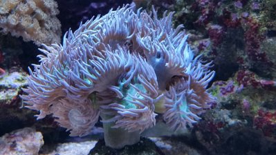 2017-10-01 16.48.23.jpg